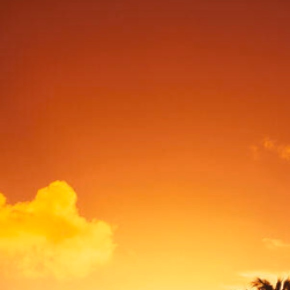 Meet your Posher, Isai - Picture 1 of 1